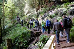 Single Wandern 