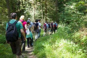 Wanderung mit anderen Singles