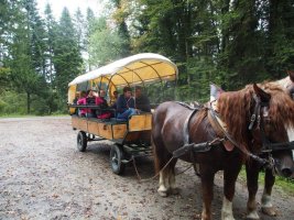 Planwagenfahrt mit Singles
