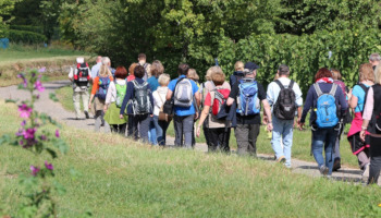 Singlewandern Stuttgart